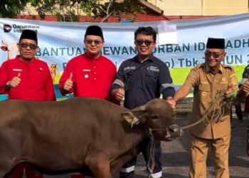 Disalurkan 114 Bantuan Hewan Kurban Program TJSL Badan Usaha Bangka Barat