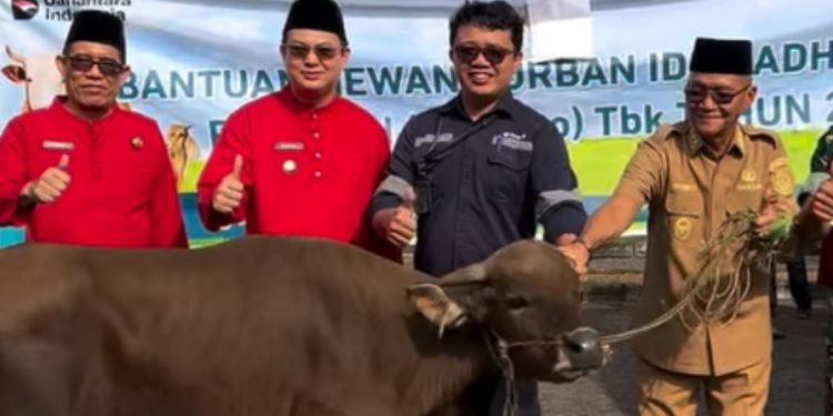 Disalurkan 114 Bantuan Hewan Kurban Program TJSL Badan Usaha Bangka Barat