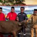 Disalurkan 114 Bantuan Hewan Kurban Program TJSL Badan Usaha Bangka Barat