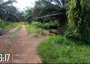 Menelisik Gurita Bisnis Sawit di Desa Nadi: Benarkah Ada Alih Kelola Aset Ilegal Milik Buyung?