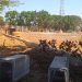 Proyek Taman Kota Mentok: Siap Jadi Pusat Ekonomi Baru dan Wadah UMKM Lokal