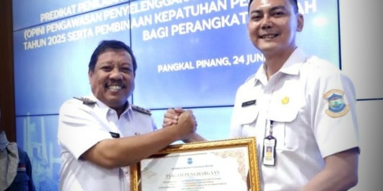 Ini Standard Pelayanan RSUD Depati Hamzah