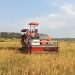 Tekan Biaya dan Hemat Waktu, Petani Desa Buyan Kelumbi Rasakan Manfaat Combine Harvester