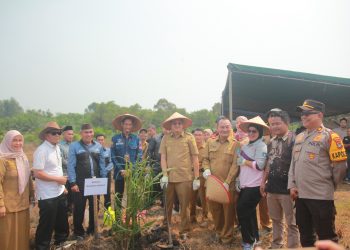 Transformasi Ekonomi Petani Sawit, Pemkab Pastikan Keberlanjutan Lewat PSR Desa Tebing