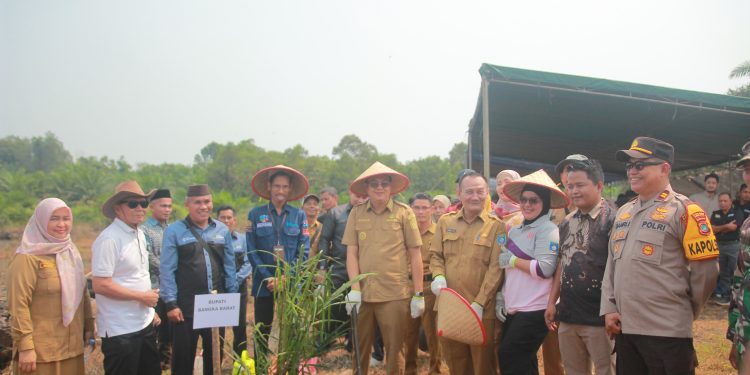 Transformasi Ekonomi Petani Sawit, Pemkab Pastikan Keberlanjutan Lewat PSR Desa Tebing